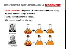 Os experimentos de Needham e Spallanzani